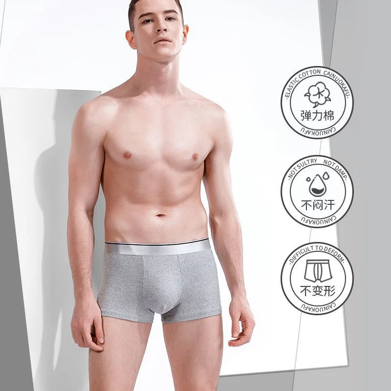 Boxer Male Panties Men's Underwear Boxers