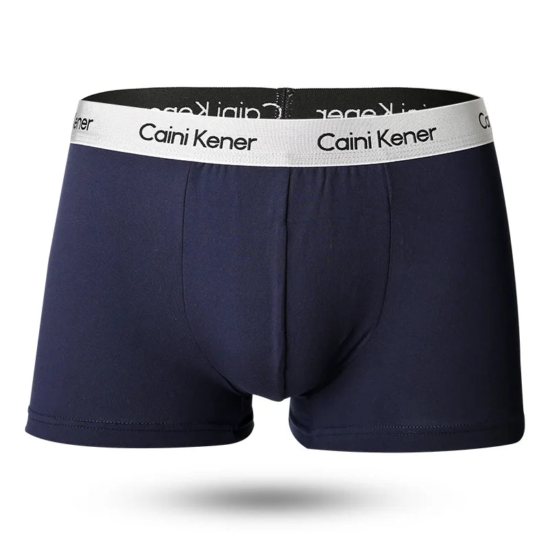 5pcs/Lot Solid Shorts Underpants le Sexy