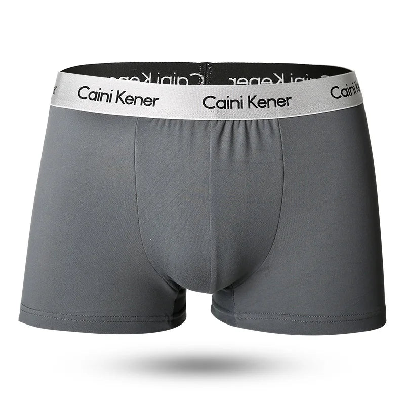 5pcs/Lot Solid Shorts Underpants le Sexy