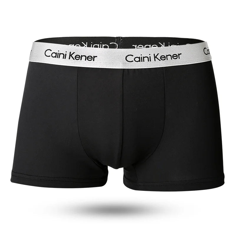 5pcs/Lot Solid Shorts Underpants le Sexy