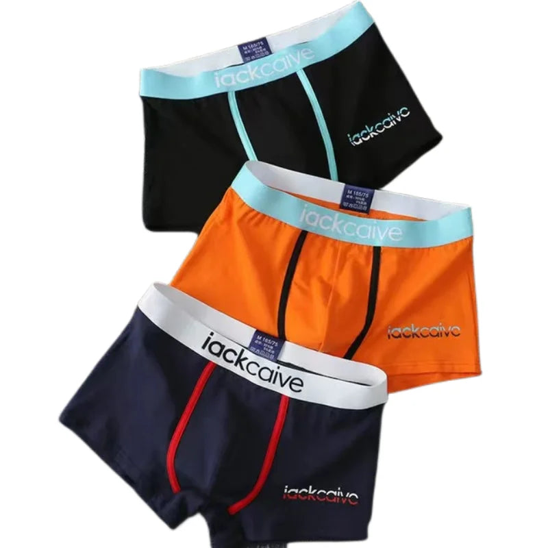 3Pcs Lot Men Panties Boxxers L