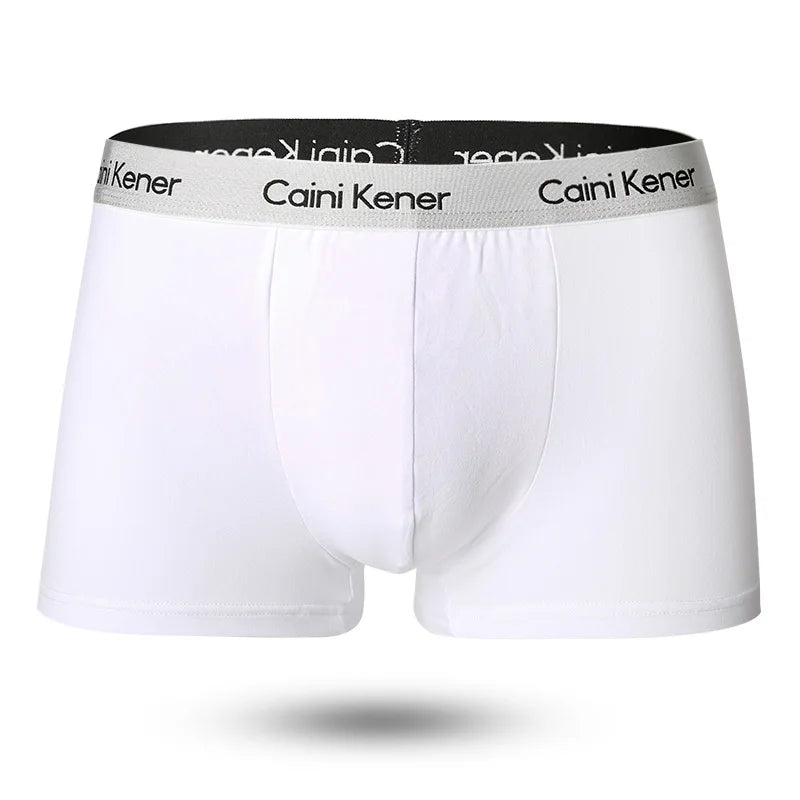 5pcs/Lot Solid Shorts Underpants le Sexy