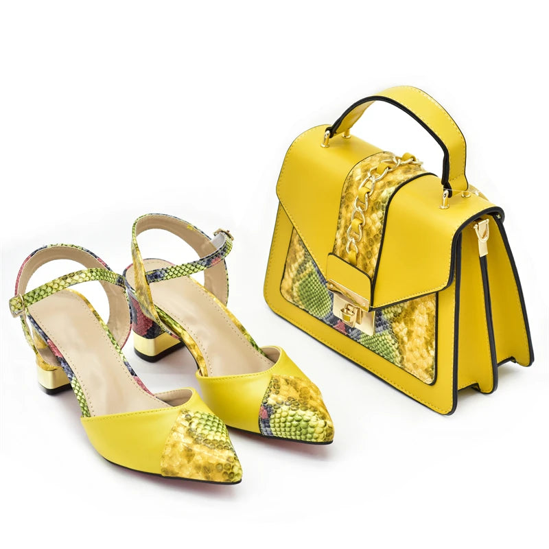 New Arrival Women Matching Shoes and Bag Set
