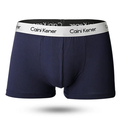 5pcs/Lot Solid Shorts Underpants le Sexy