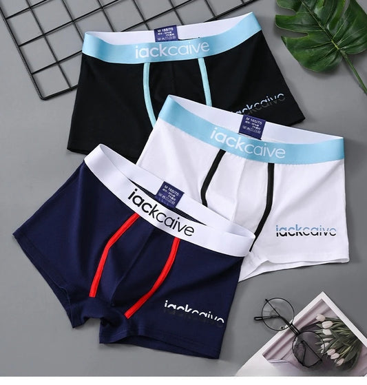 3Pcs Lot Men Panties Boxxers L