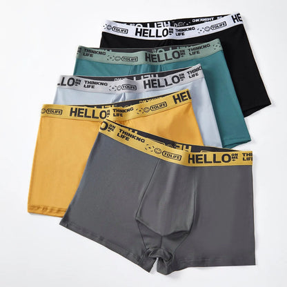 10 Pieces Men Boxers Shorts Underpants Underwear 2XL 3XL 4XL