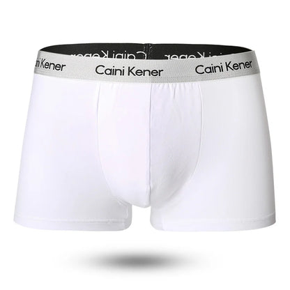 5pcs/Lot Solid Shorts Underpants le Sexy